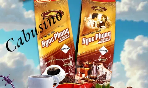 Cà phê Ngọc Phong – Giải pháp cho những ai yêu cà phê nhưng nhạy cảm với caffeine